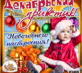 Открытка декабрьский привет