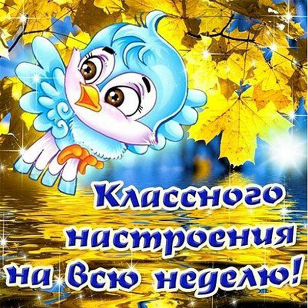 желаю классного настроения на всю неделю