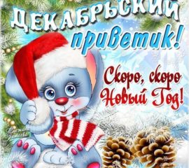 Открытка декабрьский привет