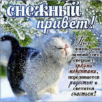 Красивые и нежные картинки снежный привет