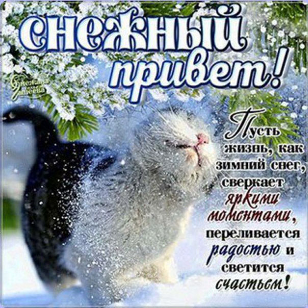 Снежный зимний привет картинка