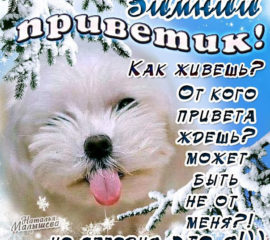 Зимний привет открыточки