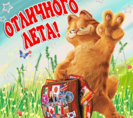 Пожелание отличного лета