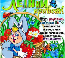 Летние открытки