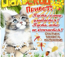 Июльский привет