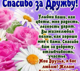 Спасибо за дружбу
