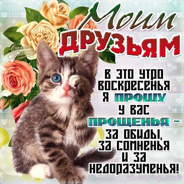 Друзьям открытки прощеное воскресенье с надписями