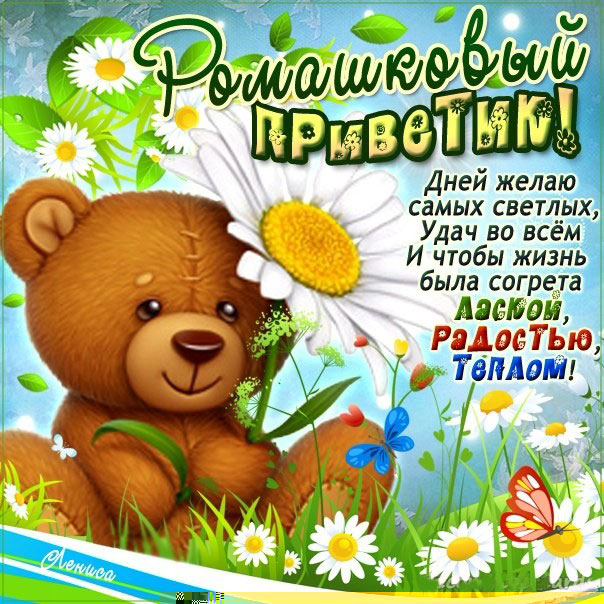 Привет ромашки лето