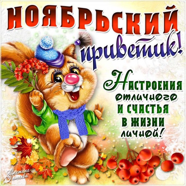 Привет ноябрьский