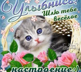 Гифка улыбнись веселое настроение