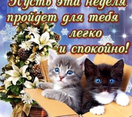 Легкой недели картинки