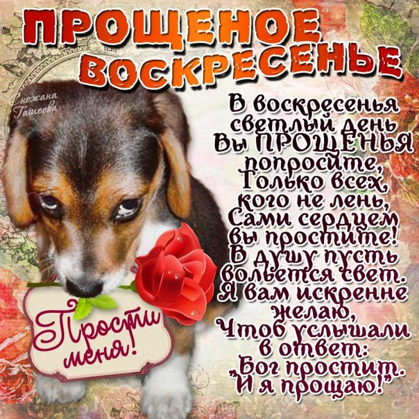 С днем прощения анимация картинки со словами
