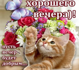 Открытка пожелание хорошего вечера