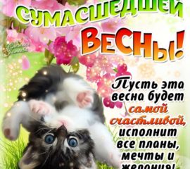 Красивая открытка весна