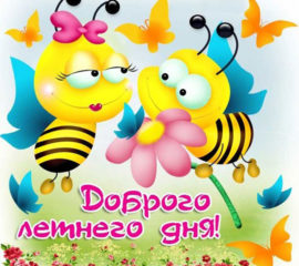 Доброго летнего дня
