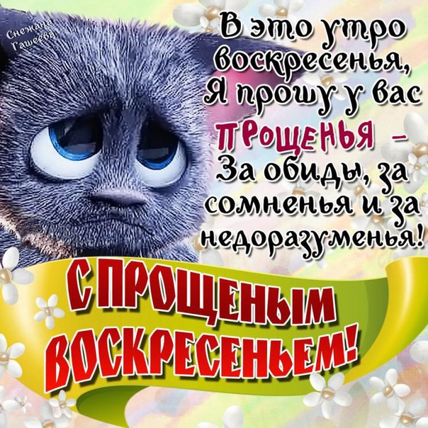 Прощеное воскресенье в картинках с фразами