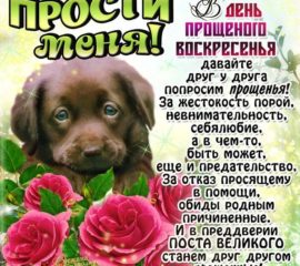 Прости меня мерцающие открытки с надписями