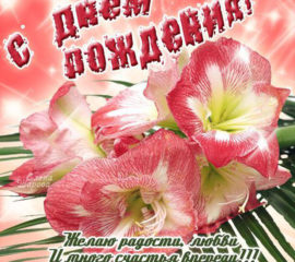 день рождения