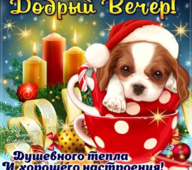 Доброго зимнего вечера открытка