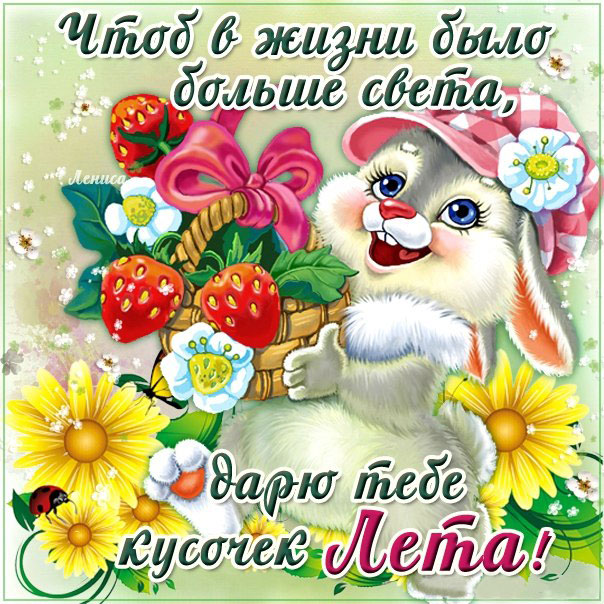 Забавное пожелание лето