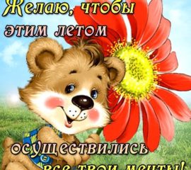 Летнее милое пожелание