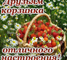 Друзьям пожелание