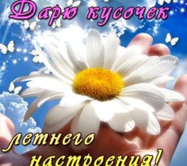 Летнее пожелание