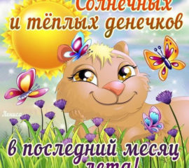 Последний месяц лета картинка