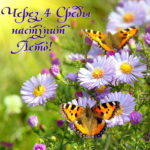 Скоро лето открытки