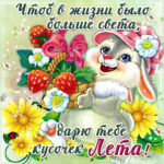 Картинки дарю лето