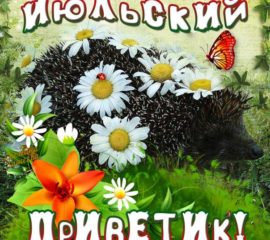 Июльский приветик 
