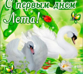 Первый день лета природа