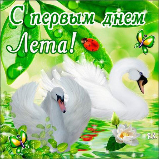 Первый день лета природа