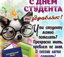 Анимация день студента красивая картинка