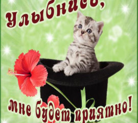 Анимация со словами улыбнись