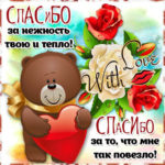 Спасибо за нежность и тепло