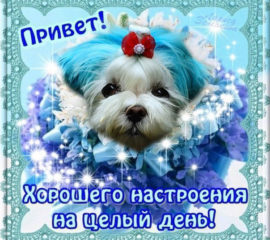 Открытка хорошего дня подруге