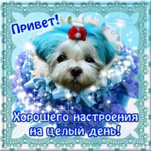 Открытка хорошего дня подруге