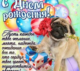 днюха шарики