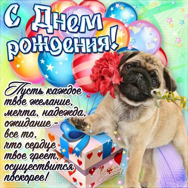 днюха шарики
