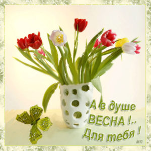 Открытка тюльпаны анимация