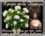 Открытки храни тебя Господь бесплатно