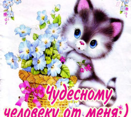Открытки для тебя