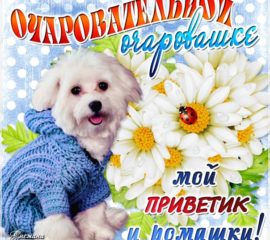 ты очарование открытка