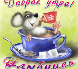 Веселые открытки
