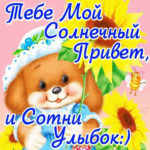 Мой солнечный привет