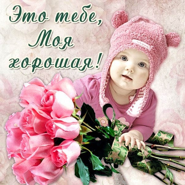 розы тебе