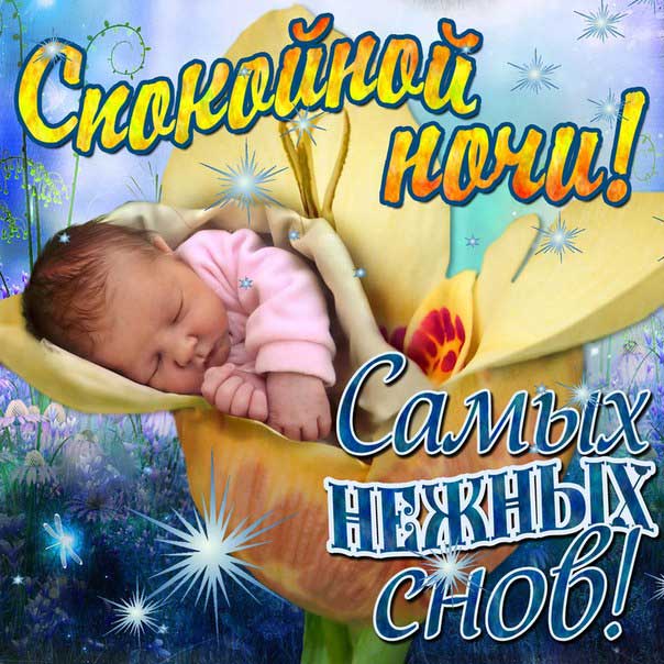 спокойной ночи