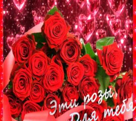 Картинка розы с надписью