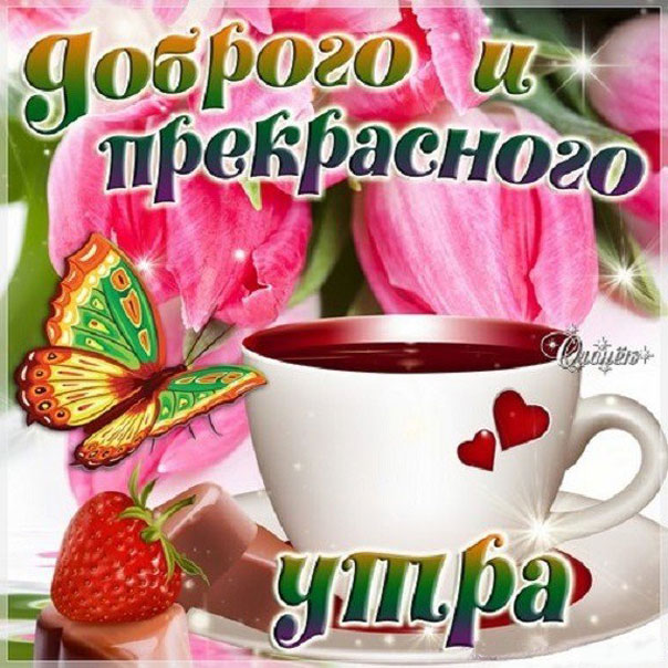 Утро доброе чай цветы к утру